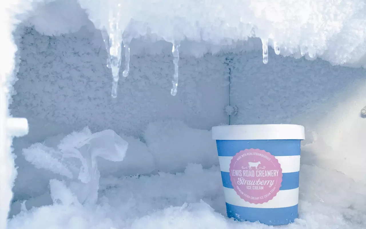 Metti una moneta nel freezer prima di partire: ecco perché può salvare le vacanze Metti una moneta nel freezer prima di partire: ecco perché può salvare le vacanze